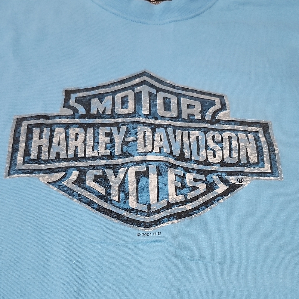 VINTAGE HARLEY DAVIDSON 2001 WARR'S LONDON ENGLAND GRAPHIC TEE-SHIRT XL